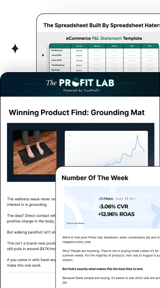 Master Shopify finances in 6 days!
