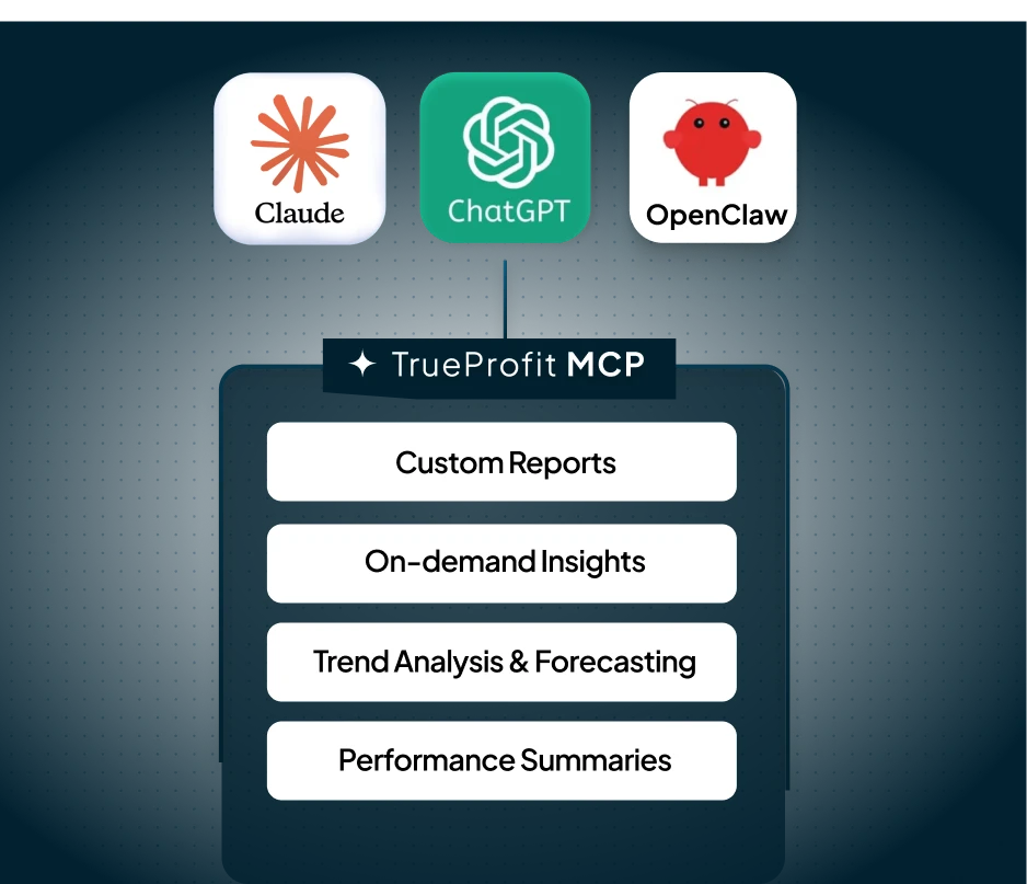 TrueProfit MCP