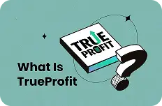 What Is TrueProfit and How Does It Track Shopify Profits?
