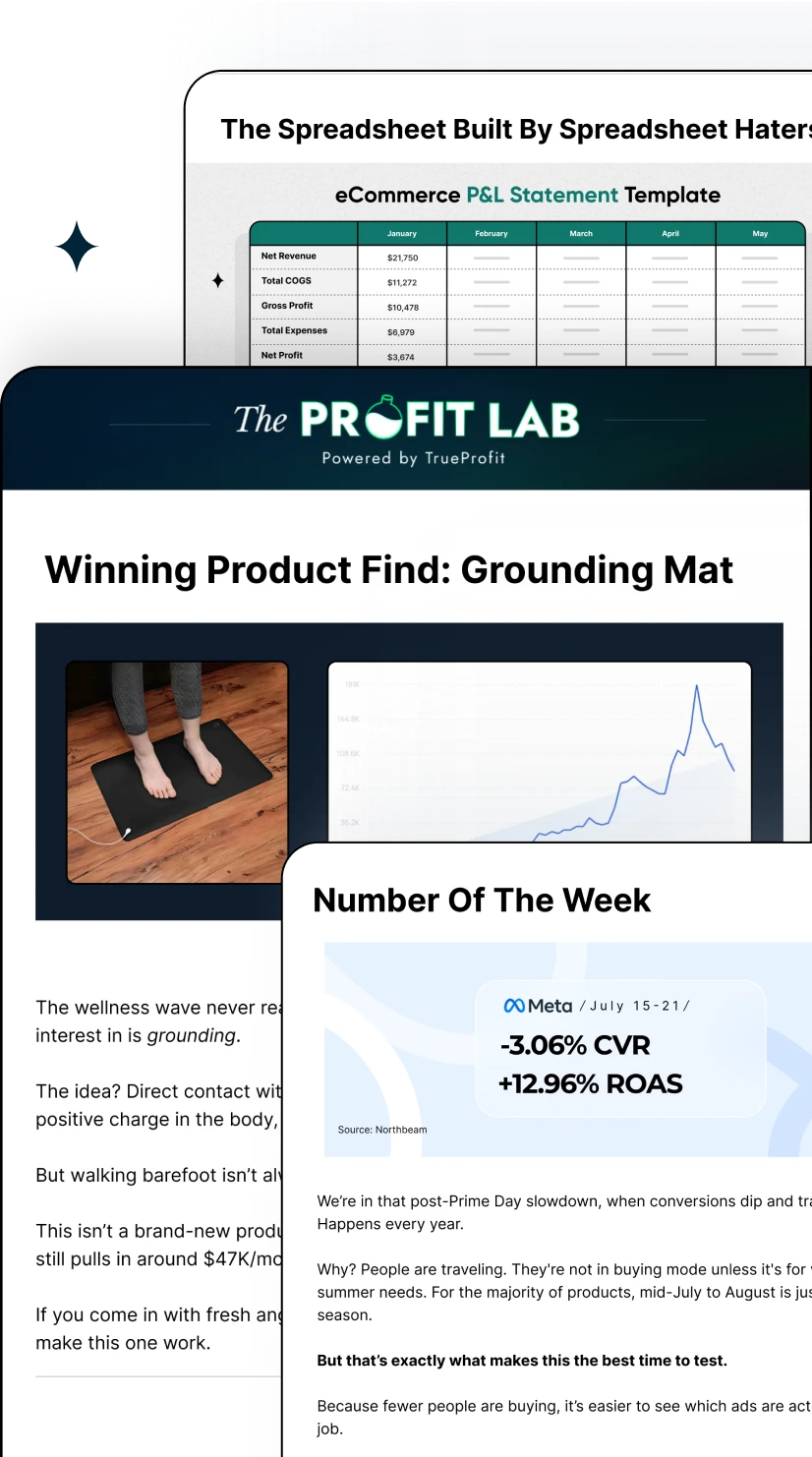 Master Shopify finances in 6 days!